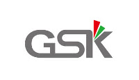 gskink.com store logo